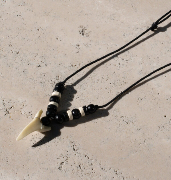 Shark Tooth Necklace